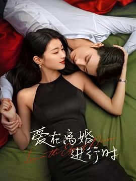 爱在离婚进行时 第19集